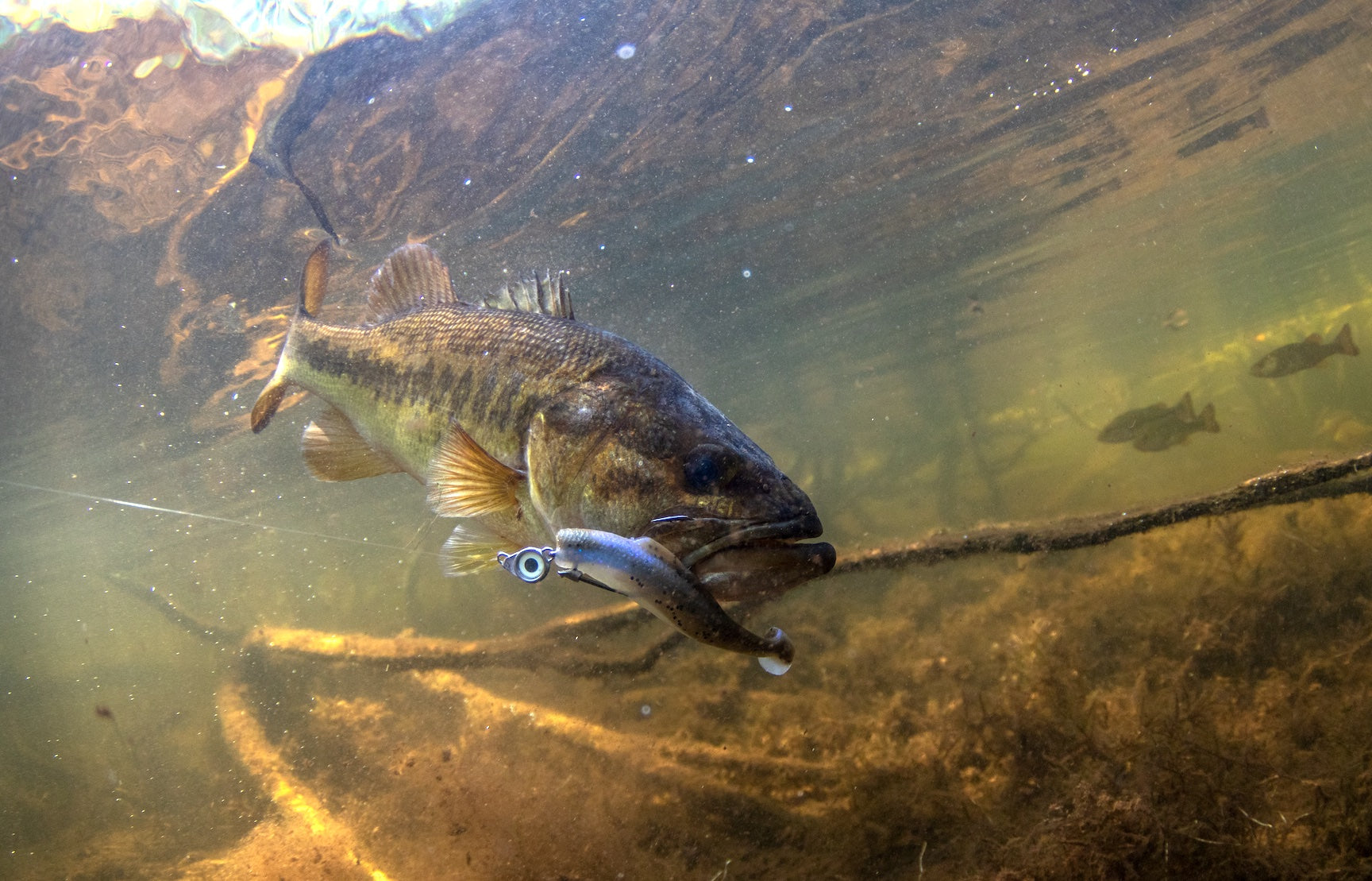 Tactical Swimbait Systems