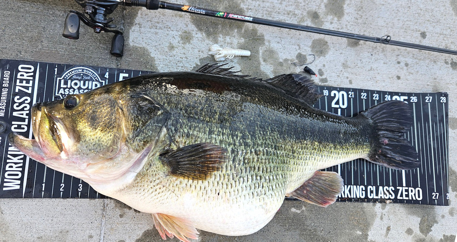 Turbo CrawZ™ Tricks SoCal Lake Record Largemouth