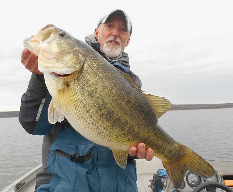 huge largemouth bass