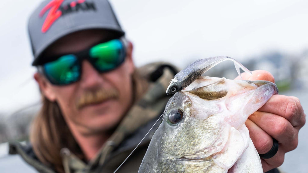 Largemouth Bass