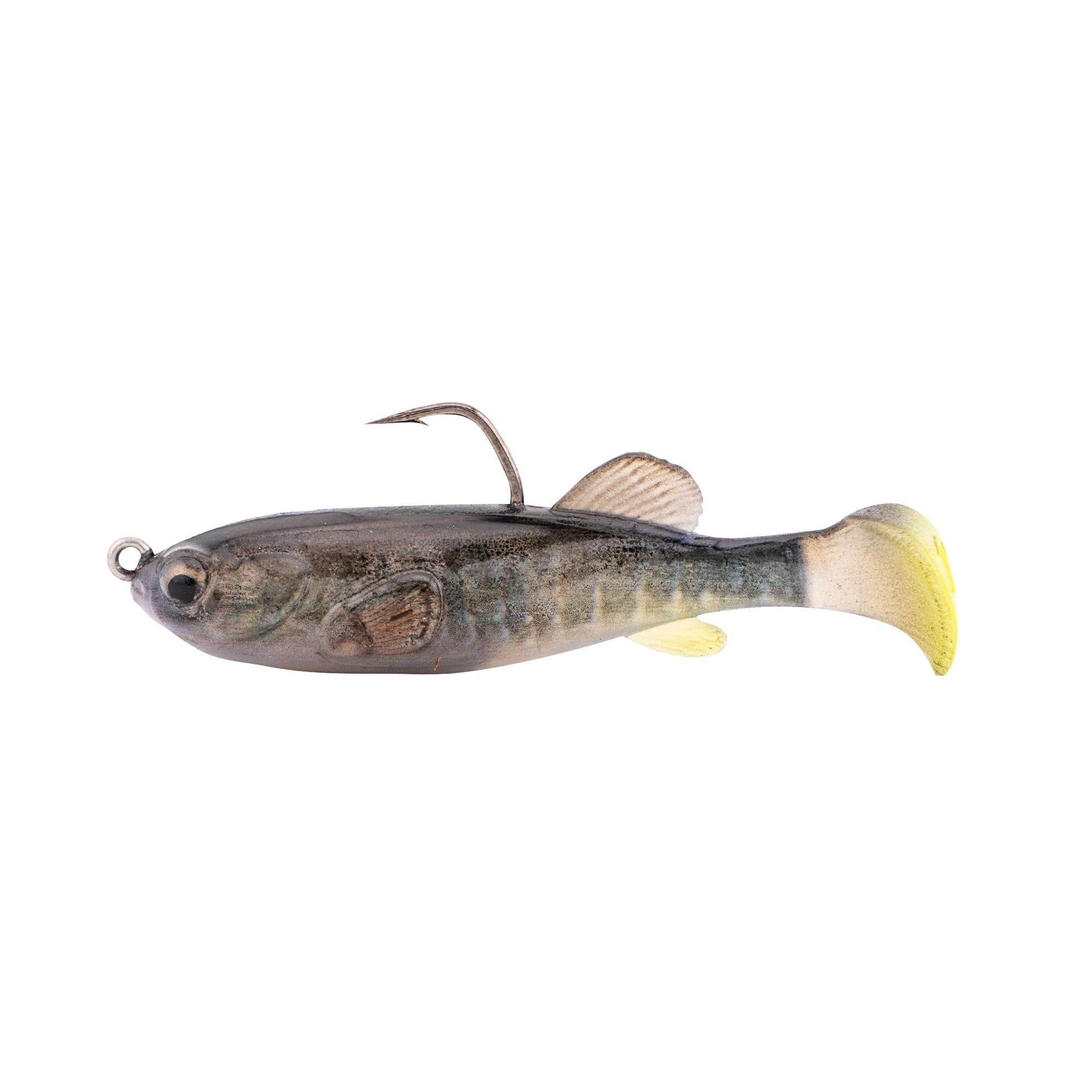 falls inch minnow fishing lure Daiwa Salt Pro - 5-1/8" - Floating and back Rapala CountDown Lure - Brown