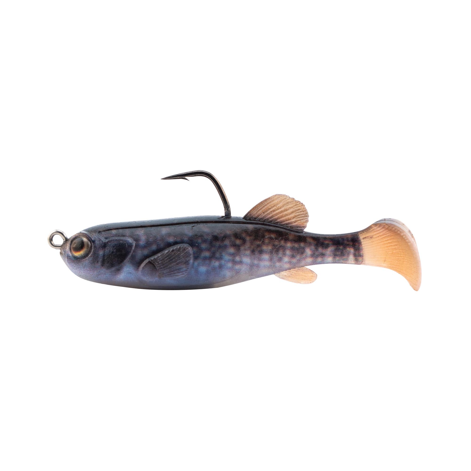 boys life fishing lures 2.75