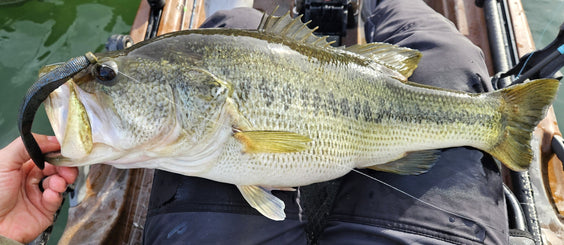 The FattyZ Family Gets Thicker