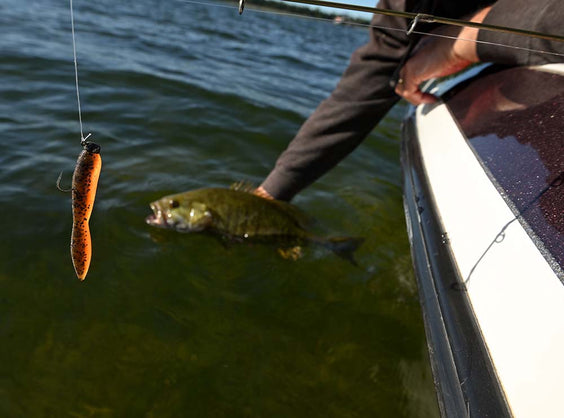 TRD FattyZ Now Available