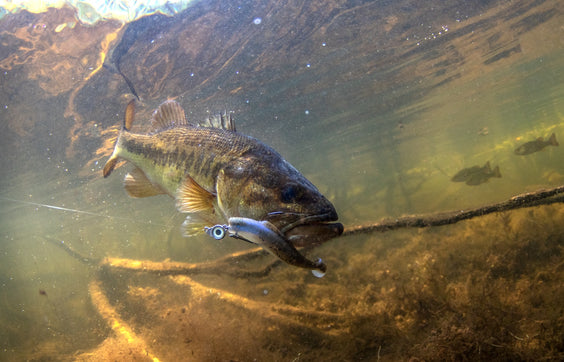 Tactical Swimbait Systems