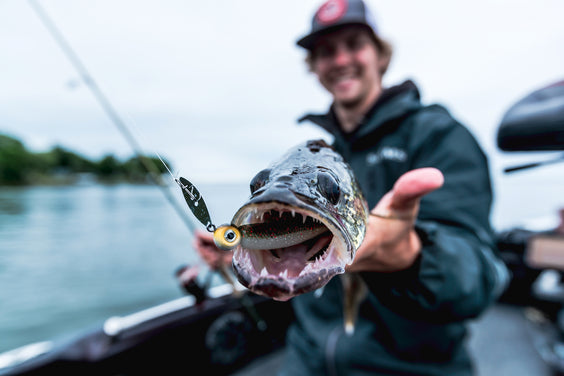 Not Another Forward-Facing Sonar Story