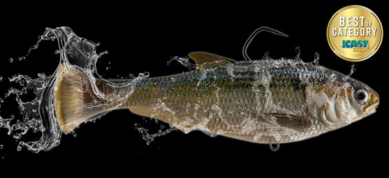 Z-Man Sweeps ICAST Soft Lure Awards