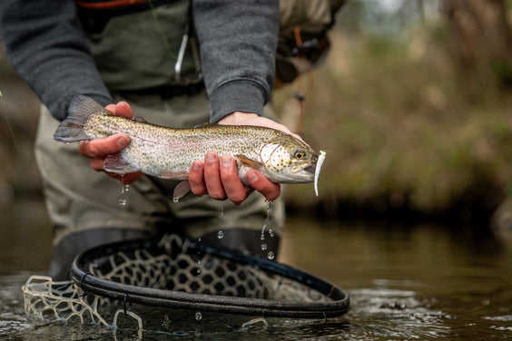 Things that Go Slink in the Drink