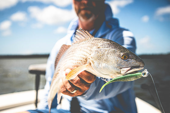 The Alpha Shark of Inshore Jigheads
