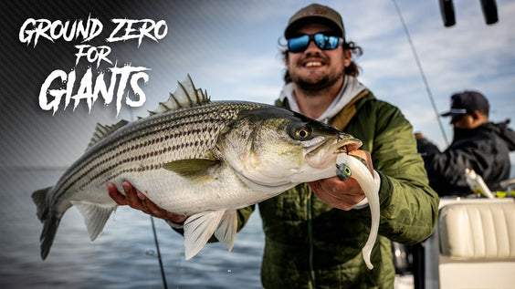 Video: Ground Zero for Giants