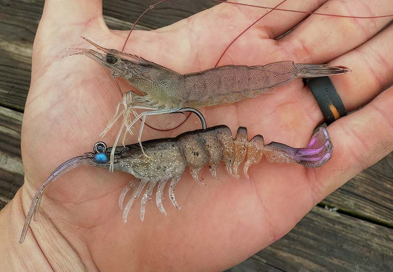 Cocktail Sauce Optional