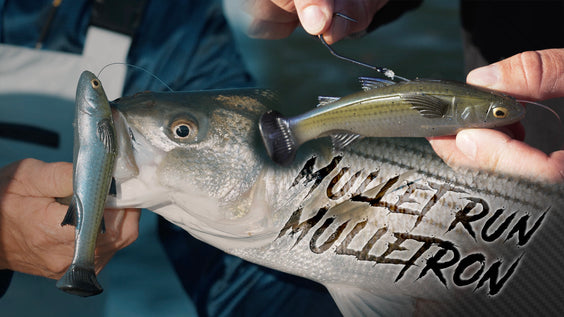 Mullet Run . . . Mulletron!