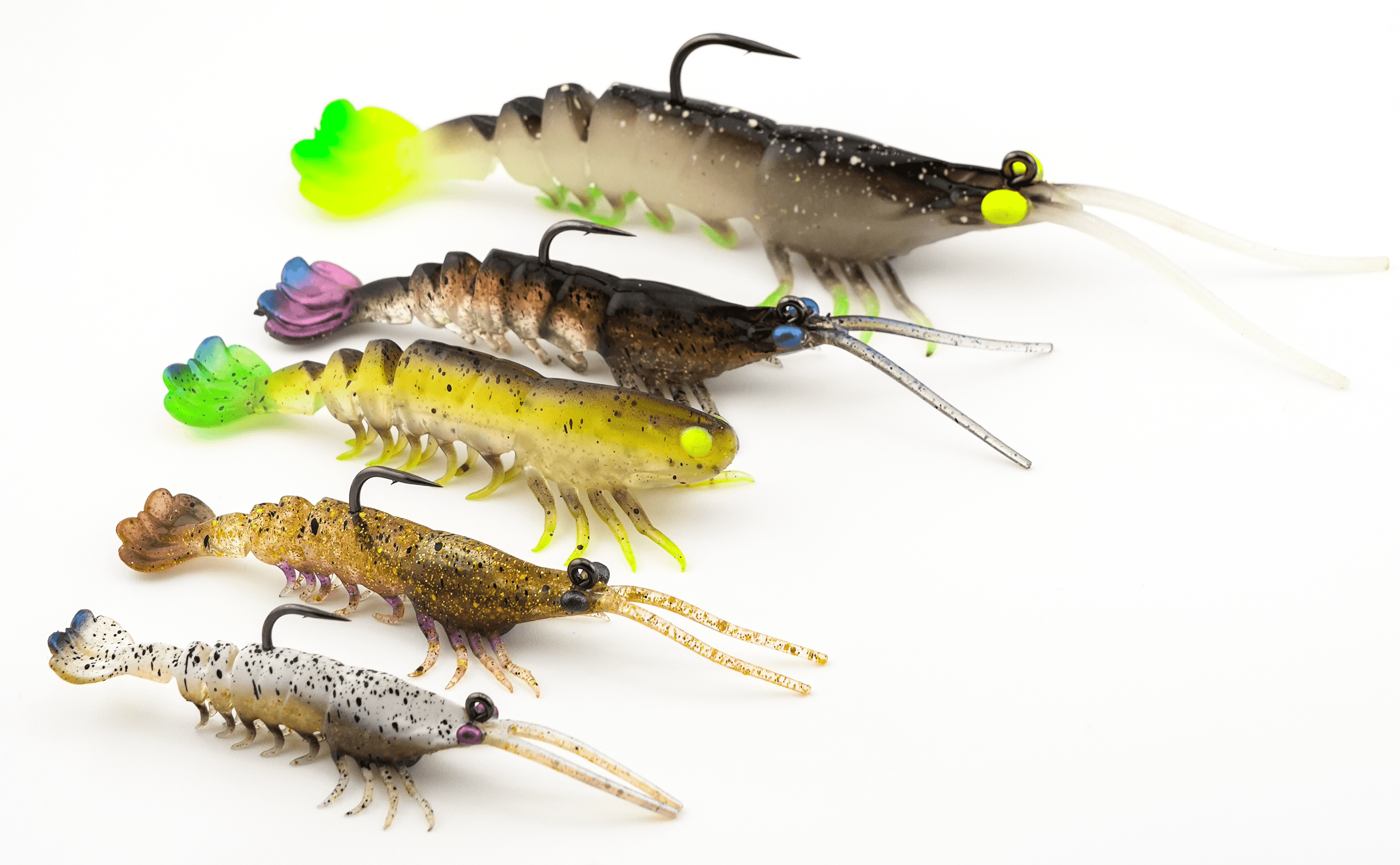 The PrawnStarZ™ Family Expands