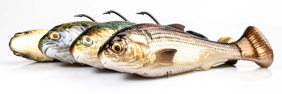 Video: Shadtron LT Realism and Rigging