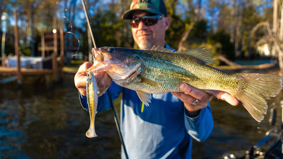 Z-Man Unleashes the SWAG