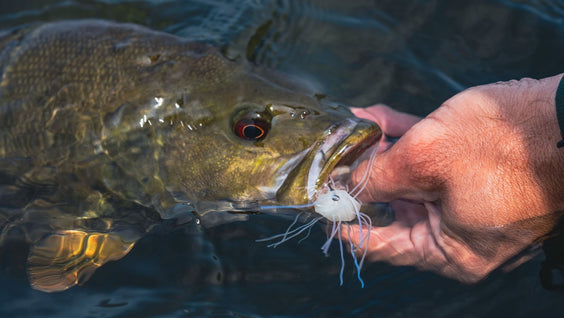 Finessing Clear Water Smallmouth With The Fuzzy NuggetZ
