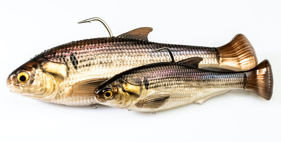 Ultimate Shad Swimbait