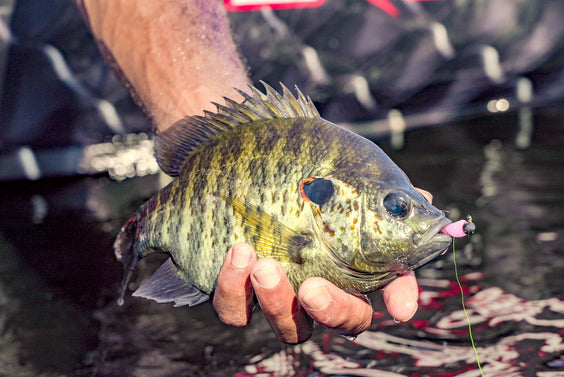 Fastest Way to a Fish Fry!