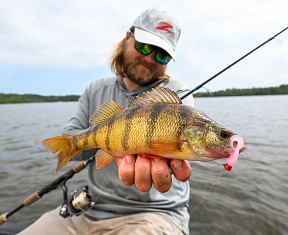 AVAILABLE NOW: One Bait, Bites for Days