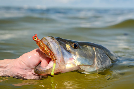 Inshore Wrecking Ball