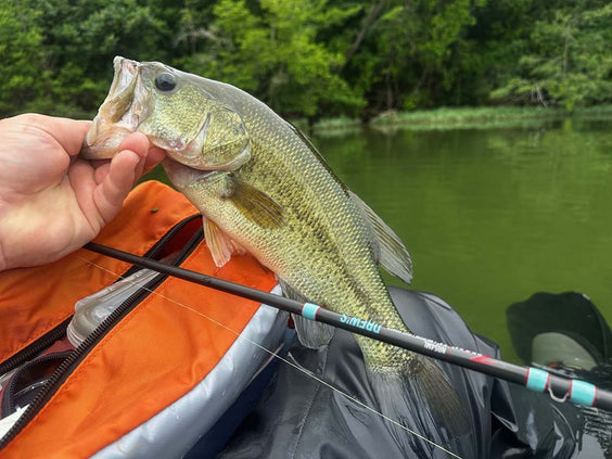 Ned Kehde: Guide to Midwest Finesse Fishing: June 2025