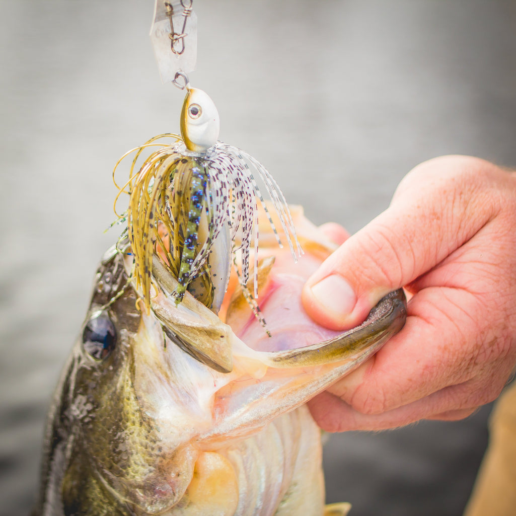 fish arizona z-wobbler lure catch a memory Yo-Zuri 3D Inshore Twitchbait Phenix Vibrating Wobble Jig -