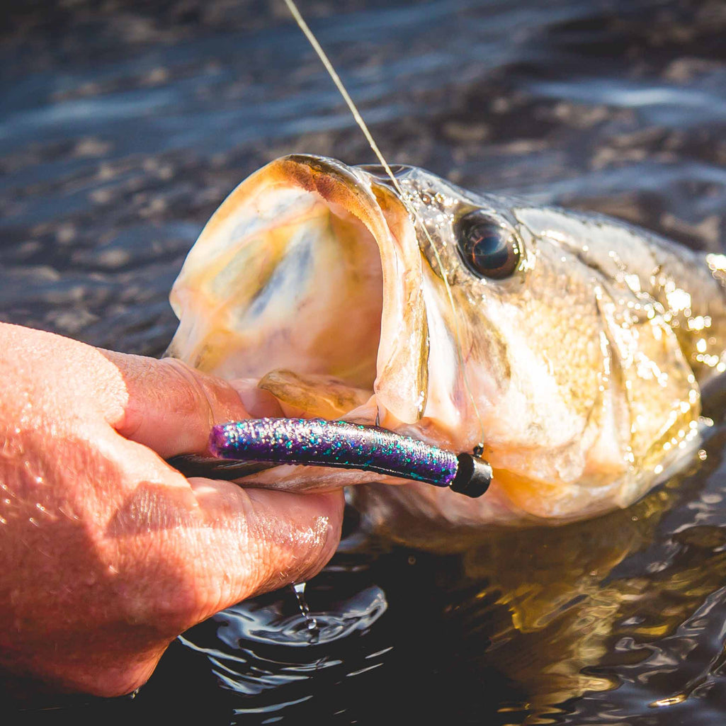 Z-Man Fishing Products - The Science and Art of Fishing